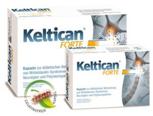 KELTICAN FORTE - 20 Gélules Vitamine B12 + Acide Folique - Soutien Système Nerveux, Vegan